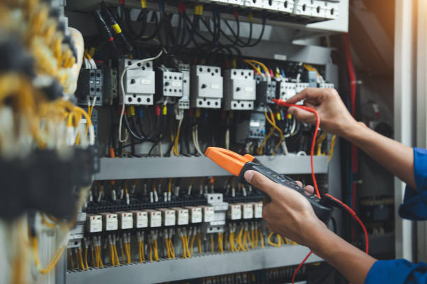 Best Electric Panel Repair  in Caledonia, MN