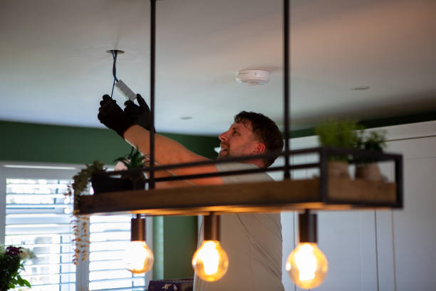 Best Ceiling Fan Installation Electrician  in Caledonia, MN