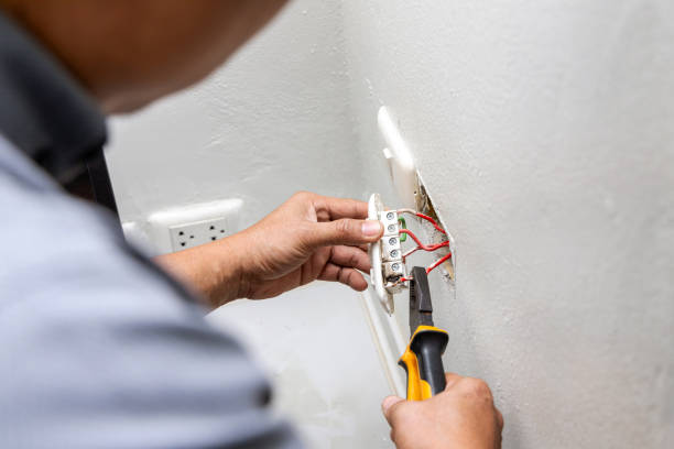Best Electrical System Inspection  in Caledonia, MN